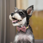 Beirui Cute Extra Small Dog Harness Collar and Leash Set - Image 5