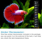 PULACO 25Watt Mini Aquarium Submersible Betta Heater - Image 5