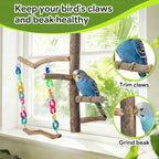 Bird Toys, Bird Swing Toys - Image 4
