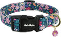 Dog Collar for Extra Small Dogs, Spring Dark Green Dog Collars by Unknown