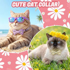 6 Pack Breakaway Cat Collars - Image 7