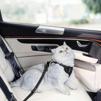 Cat Harness and Leash for Walking, Cat Car Harness, Escape Proof Soft - Image 4