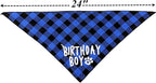 Dog Birthday Party Supplies, Pet Birthday Hat and Boy Doggy Birthday Bandana Set - Image 2