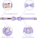 MR. CHUBBYFACE Easter Dog Collar Rabbit Puppy Collar - Image 3