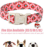 Valentines Dog Collar for Small Dogs - Image 7