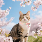 Unique style paws 2 Pack Spring Summer Kitten Collar Breakaway - Image 6