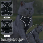 Escape Proof Cat Harness and Leash Set - Image 3
