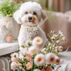 Cute Corduroy Dog Collar - Image 5