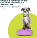 FitPAWS® K9FITbone® - Image 6
