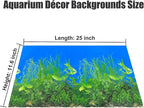 Fish Backgrounds Paper Double Sides Undersea Aquarium Background Poster - Image 5