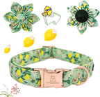 Lionheart Glory Dog Collar, Dog Collar - Image 2