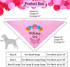 ADOGGYGO Dog Birthday Hat Bandana Girl - Image 2