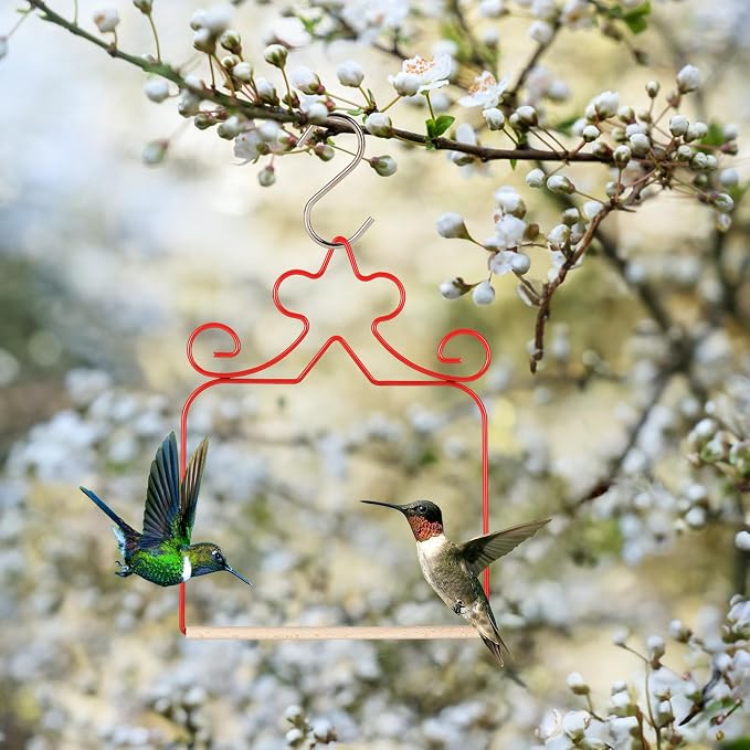Hummingbird Swings 4 Pack, Rust Resistant Metal Frame - Image 4