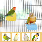 Wontee Bird Chewing Toys Grinding Beak Bird Perch Stand - Image 3