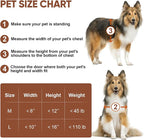 3-Flap Dog Door, All Aluminum Alloy Large Doggy Door Doggie door - Image 6