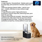 Sfozstra Elevated Dog Water Dispenser: 9L Gravity Auto Refill -Senior & - Image 2