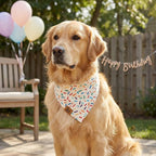Birthday Dog Bandanas Extra Large, Reversible Colorful Confetti Sprinkles - Image 2