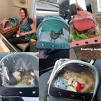 Guinea Pig Carrier Backpack, Bunny Rat Bird - Image 6