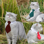 4 Pieces Pets Dog Cat Bowtie Pet Costume Adjustable Formal Necktie Collar - Image 3