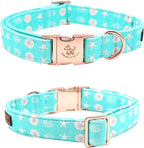 Elegant Little Tail Bowtie Dog Collar - Image 4