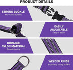 Hikiko Martingale Collar for Dogs Reflective Nylon Dog Collar - Image 3