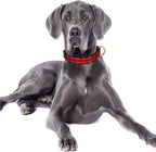 Reflective Dog Collar for Large Dogs, Cute Boho Adjustable Heavy-Duty Nylon - Image 2