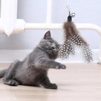 12Pcs Cat Feather Toys Refills, Feather Cat Wand Toys Attachment - Image 5