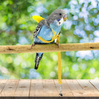 Dnoifne Pet Parrot Bird Harness and Leash, Adjustable Training Design Anti-Bite - Image 3