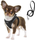 Fida Comfy Dog Harness with Leash, Soft Puppy Vest Escape Proof, Breathable by Fida