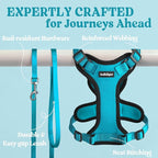 rabbitgoo Cat Harness and Leash - Image 7