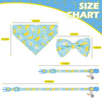 EXPAWLORER Cute Cat Collar Breakaway - Image 2