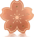 99.99% Pure Copper Bird Bath Disk, Triple-Point Support Design Lower Cleaning by Yncotte