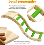 Hamiledyi Nature Wooden Bird Ladder Pet Parrots Climb Bridge Exercise Stands - Image 6