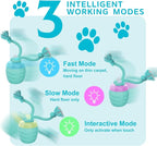 Interactive Dog Toy, Motion Activated Rolling Squeaky Ball - Image 3