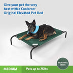 Coolaroo The Original Cooling Elevated Pet Bed, Brunswick Green - Image 2
