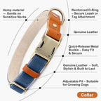 Plutus Pet Genuine Leather & Hemp Dog Collar – Adjustable Heavy Duty Pet Collar - Image 7