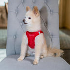 Best Pet Supplies - Image 7