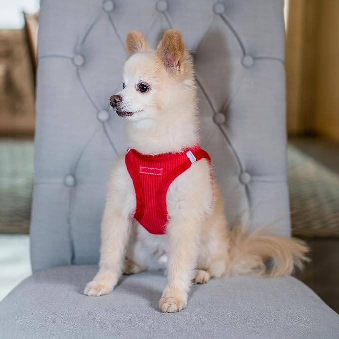 Voyager Step-In Plush Dog Harness – Soft Plush, Step In Vest Harness - Image 8