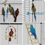 Big Flight Bird Cage, Wide Birdcage - Image 4