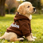 Personalized Name Dog Hoodie, Embroidered Hoodies Pets Name, Custom Pet Memorial - Image 2