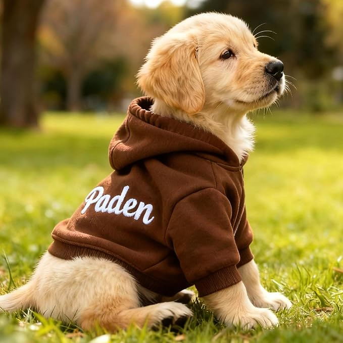 Personalized Name Dog Hoodie, Embroidered Hoodies Pets Name, Custom Pet Memorial - Image 2