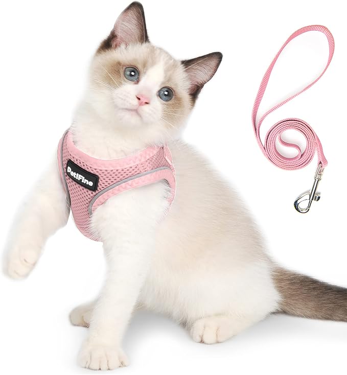 PetiFine Extra Small Step in Dog Harness and Leash Set, Cat Harness and Leash by PetiFine
