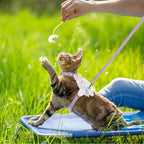 TIESOME Cat Harness and Leash Set, Adjustable Gradient Kitten Harness Escape - Image 5
