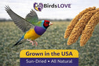 Birds LOVE Millet Tips & Tails for Birds - Image 2