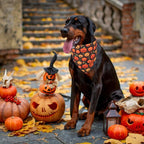 PTDECOR Halloween Dog Bandana, Skeleton Pumpkin Reversible Holiday Dog Scarf - Image 3