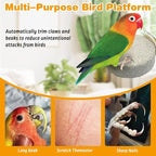 PINVNBY 6 PCS Bird Perch Parrot Beak Grinding Stone Calcium Mineral Parrot - Image 5