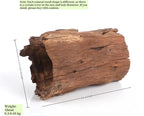 Betta Wood Tunnel Tube, Betta Fish Toys Hideout - Image 3