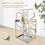 Bird Playground, Parrots Playstand - Image 4
