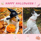 Halloween Dog Collar, Fall Dog Collars - Image 3
