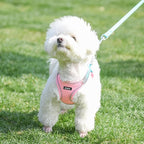 AIITLE No Pull Dog Harness and Leash Set, Step in Adjustable Dog Harness - Image 6